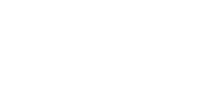 Streem University
